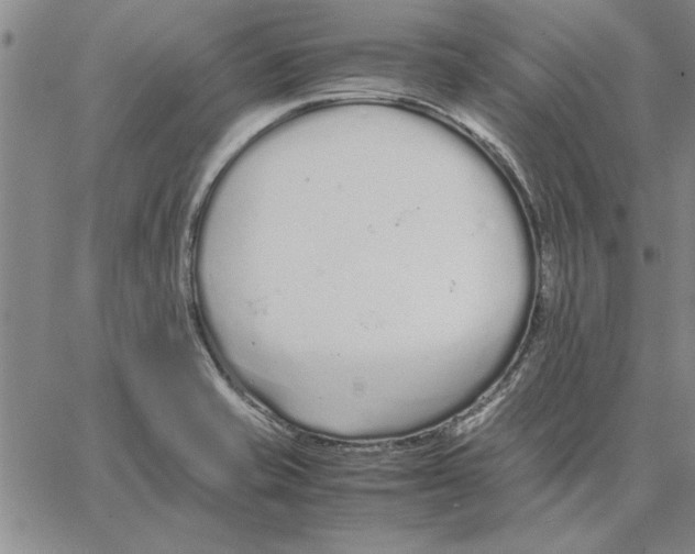 X0000066081421200604071720