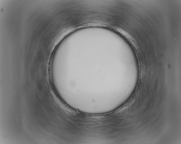 X0000066081423200604071720