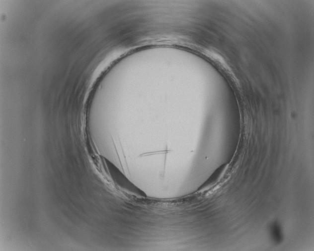 X0000066081424200604071720