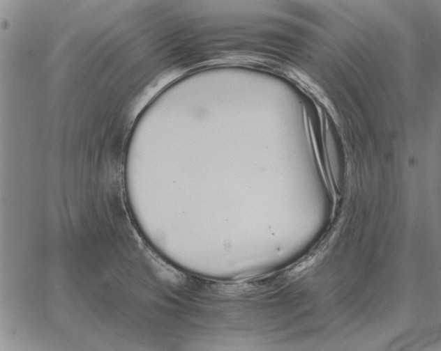 X0000066081425200604071720