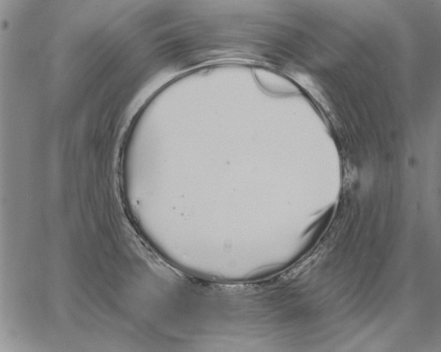 X0000066081427200604071720