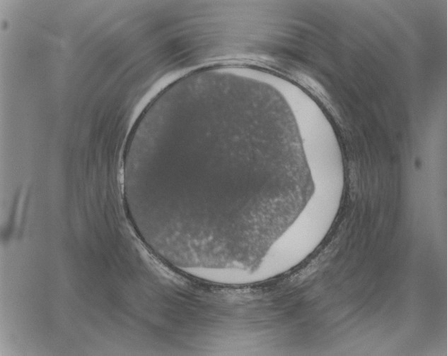 X0000066081428200604071720