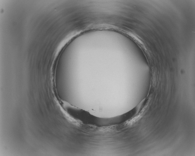 X0000066081430200604071721