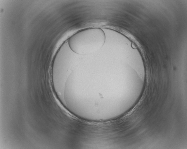 X0000066081432200604071721