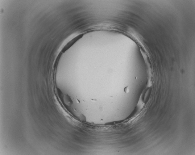 X0000066081434200604071721