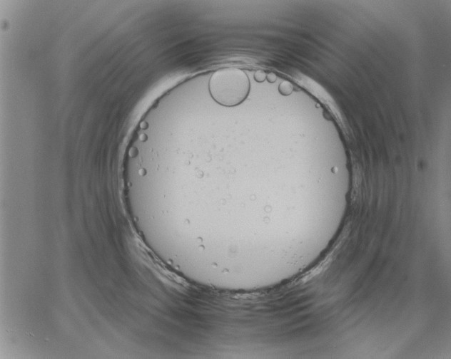 X0000066081435200604071721