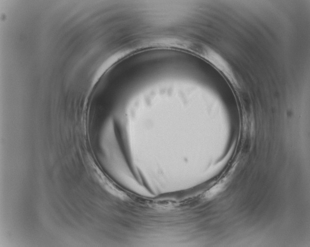 X0000066081436200604071721