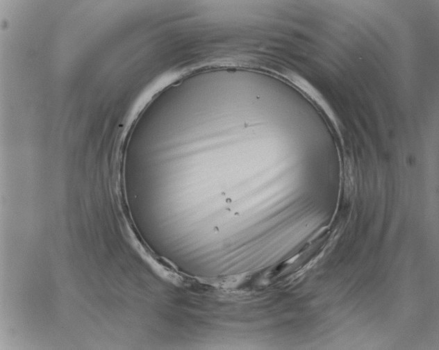 X0000066081437200604071721