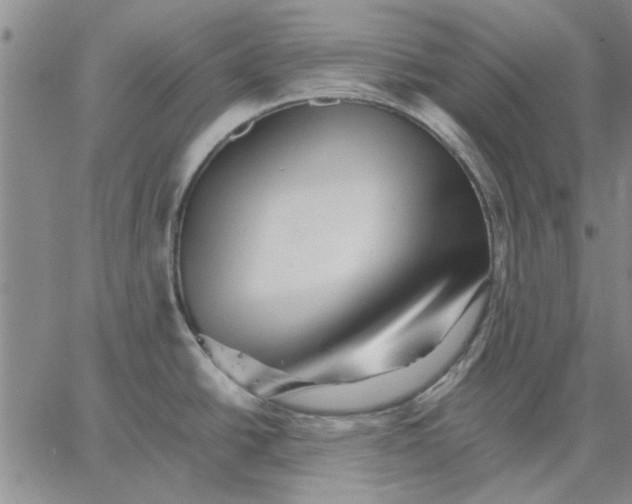 X0000066081438200604071721