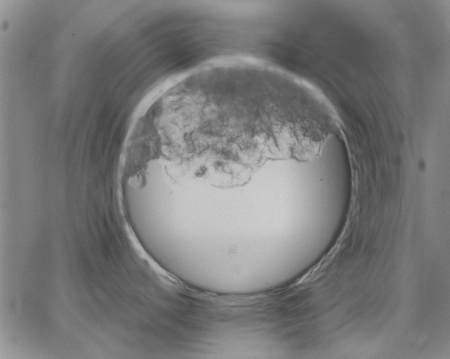 X0000066081440200604071721