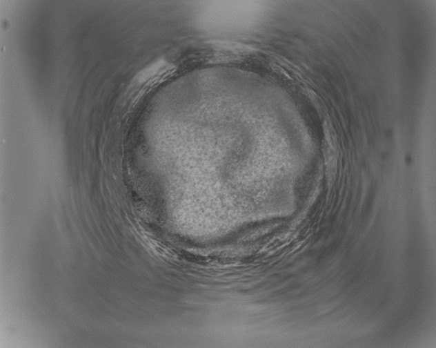 X0000066081441200604071720