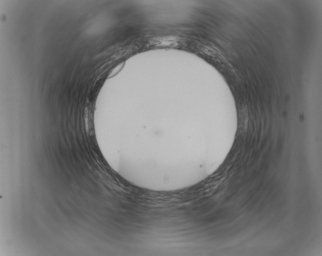 X0000066081442200604071720