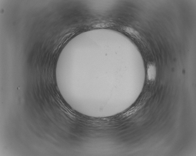 X0000066081444200604071720