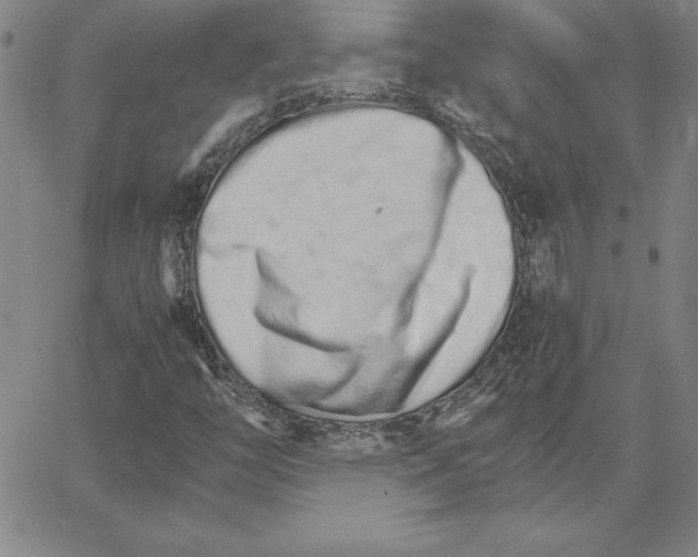 X0000066081446200604071720