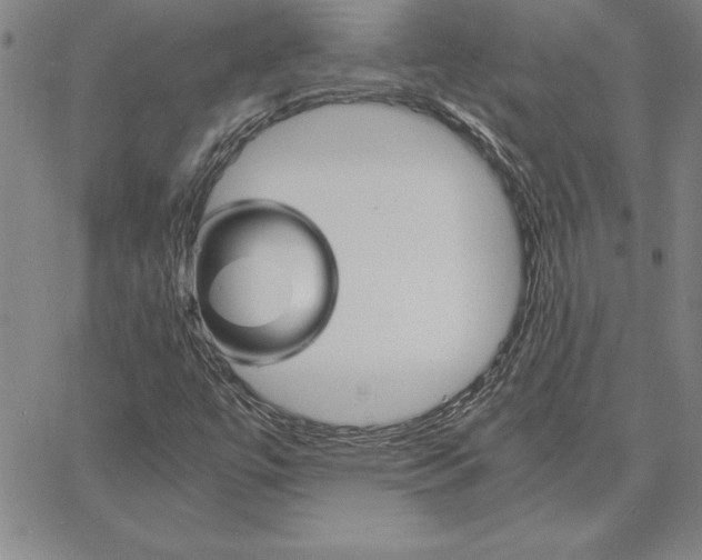 X0000066081447200604071720