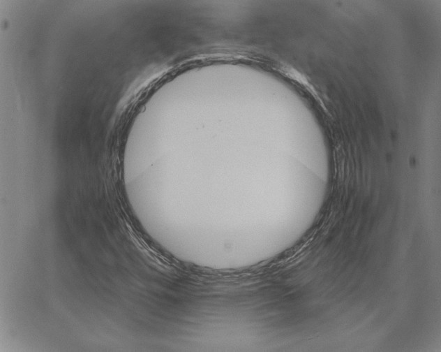 X0000066081448200604071720