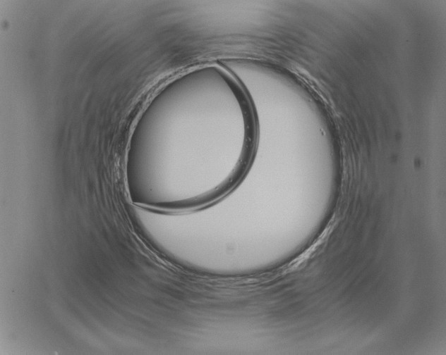 X0000066081449200604071720