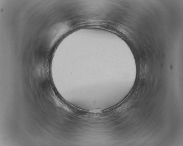 X0000066081450200604071720