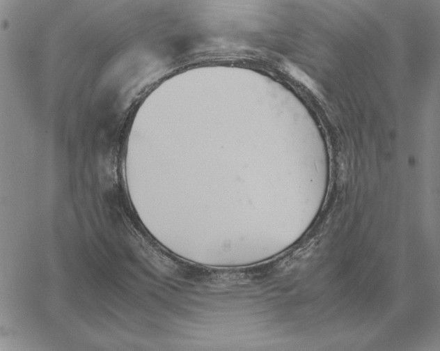 X0000066081451200604071720