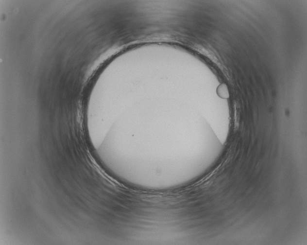 X0000066081452200604071720