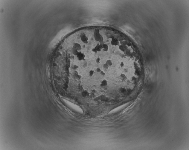 X0000066081455200604071720