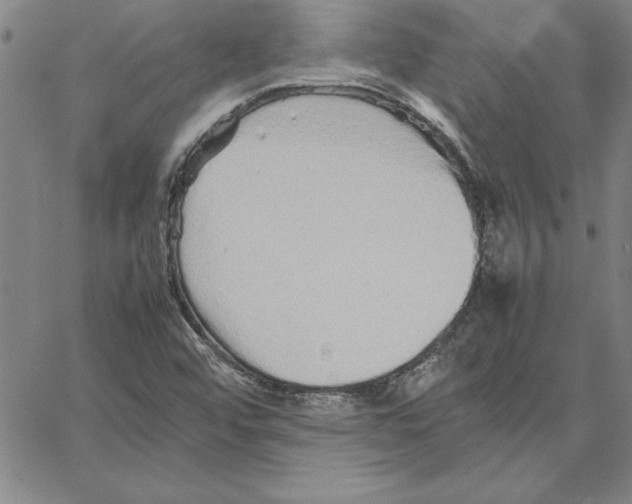 X0000066081456200604071720