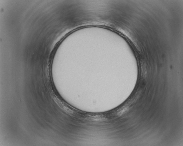 X0000066081460200604071720