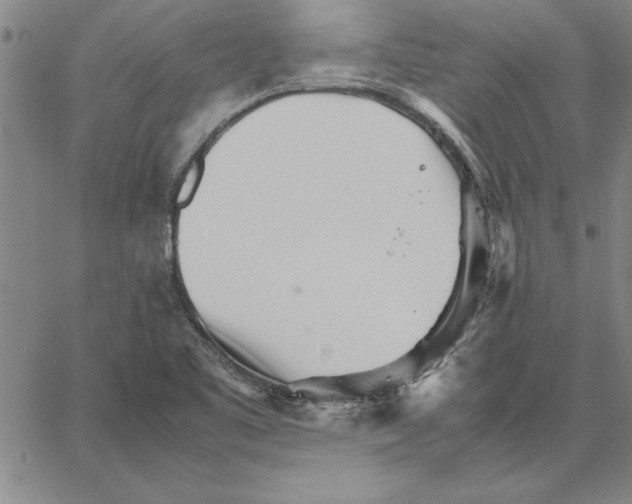 X0000066081461200604071720