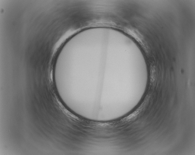 X0000066081462200604071720