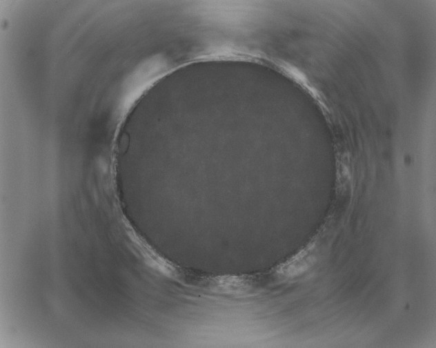 X0000066081463200604071720