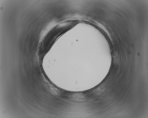 X0000066081464200604071720