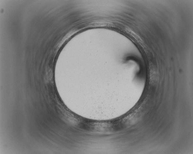 X0000066081465200604071720