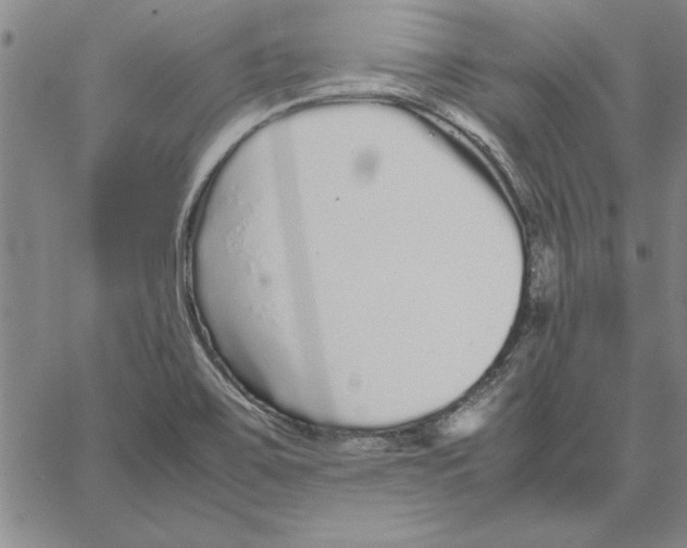 X0000066081467200604071719