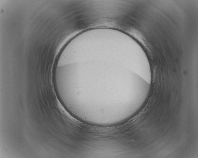 X0000066081468200604071719