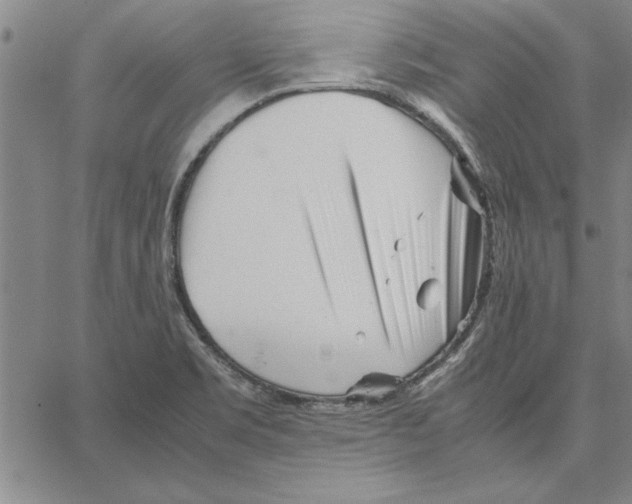 X0000066081469200604071719