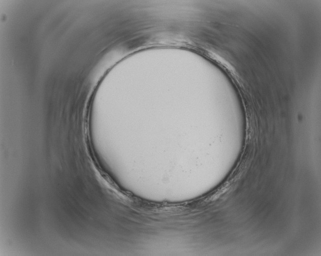 X0000066081471200604071719