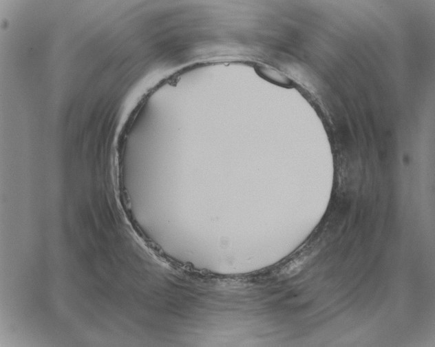 X0000066081472200604071719