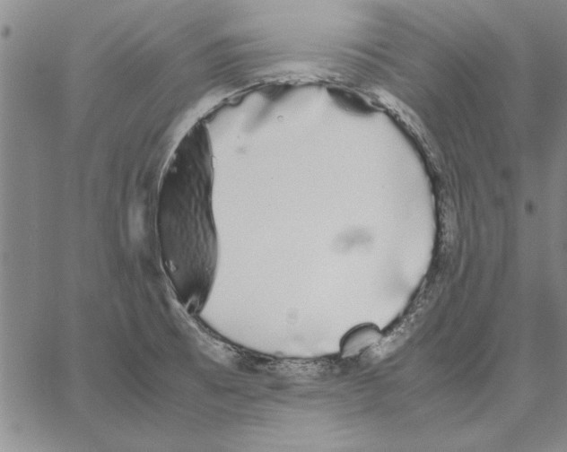 X0000066081473200604071719