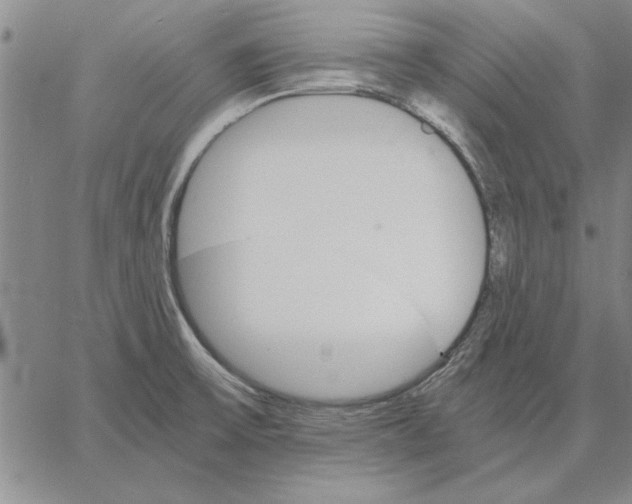 X0000066081475200604071719