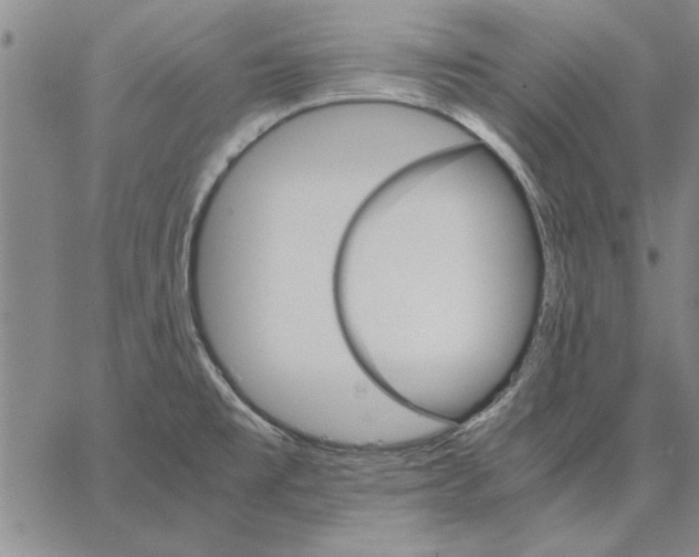 X0000066081477200604071719