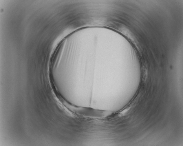 X0000066081480200604071719