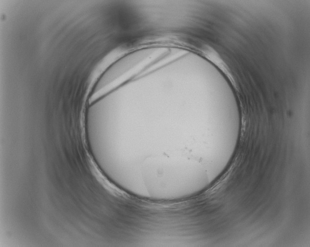 X0000066081482200604071719