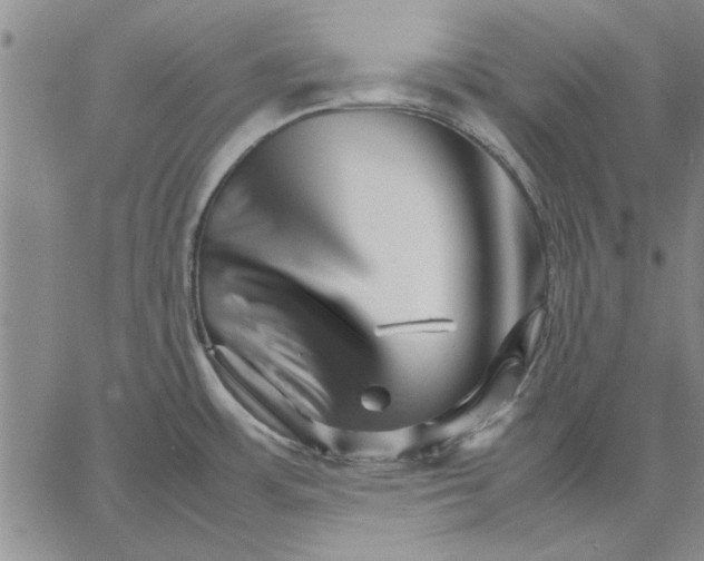 X0000066081483200604071719