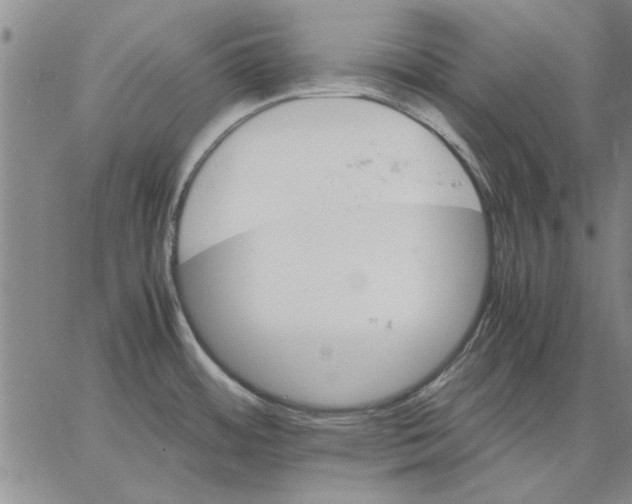 X0000066081484200604071719