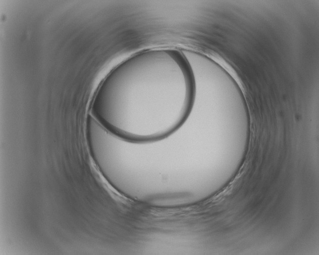 X0000066081485200604071719