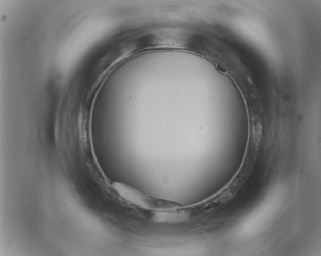 X0000066081487200604071719