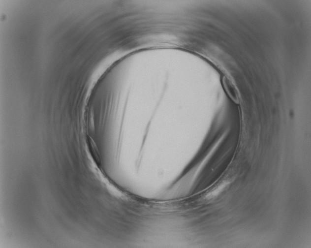 X0000066081488200604071719