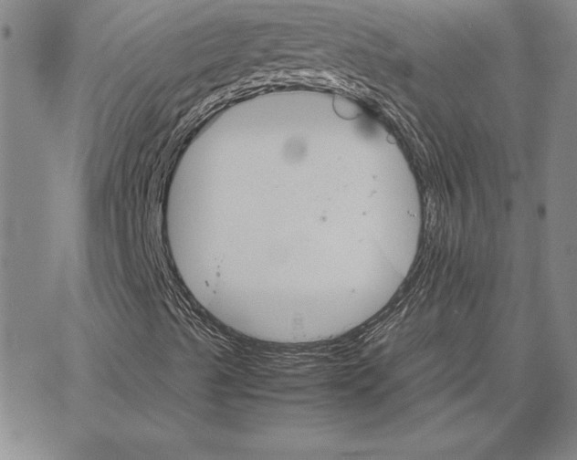 X0000066081489200604071718