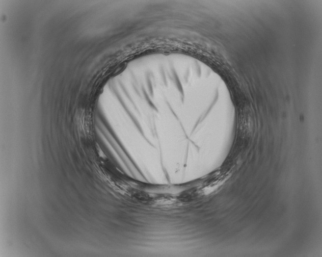 X0000066081490200604071718