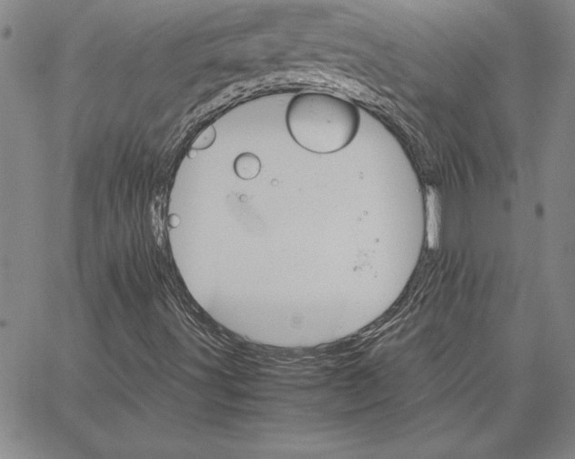 X0000066081491200604071718